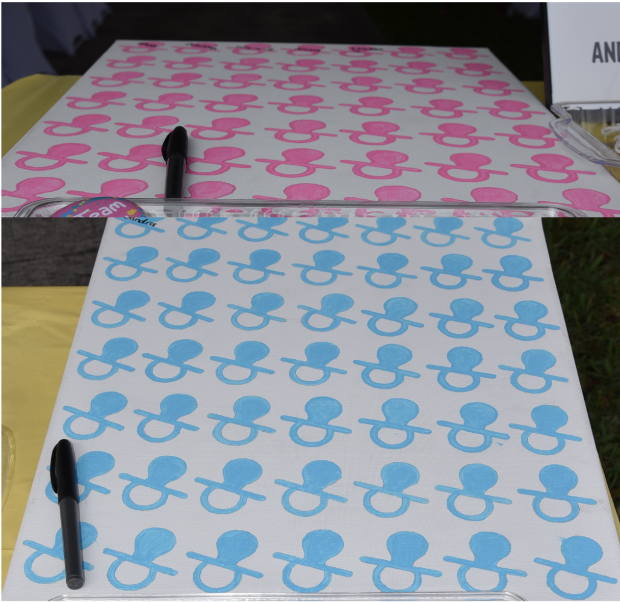 Gender Reveal Voting Board